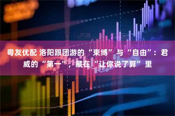 粤友优配 洛阳跟团游的 “束缚” 与 “自由”：君威的 “第一”，藏在 “让你说了算” 里