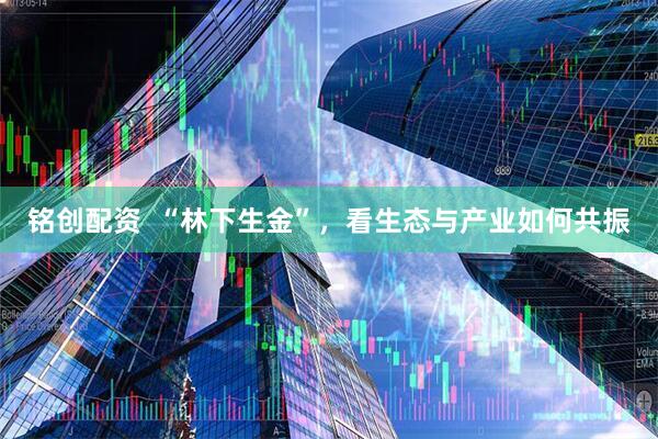 铭创配资 “林下生金”,看生态与产业如何共振