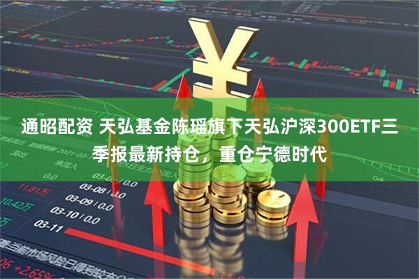 通昭配资 天弘基金陈瑶旗下天弘沪深300ETF三季报最新持仓，重仓宁德时代